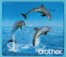 Brother(001)