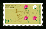 Gregor Mendel (gr&ouml;&szlig;eres Bild 50k)