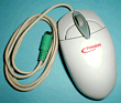Browser Mouse